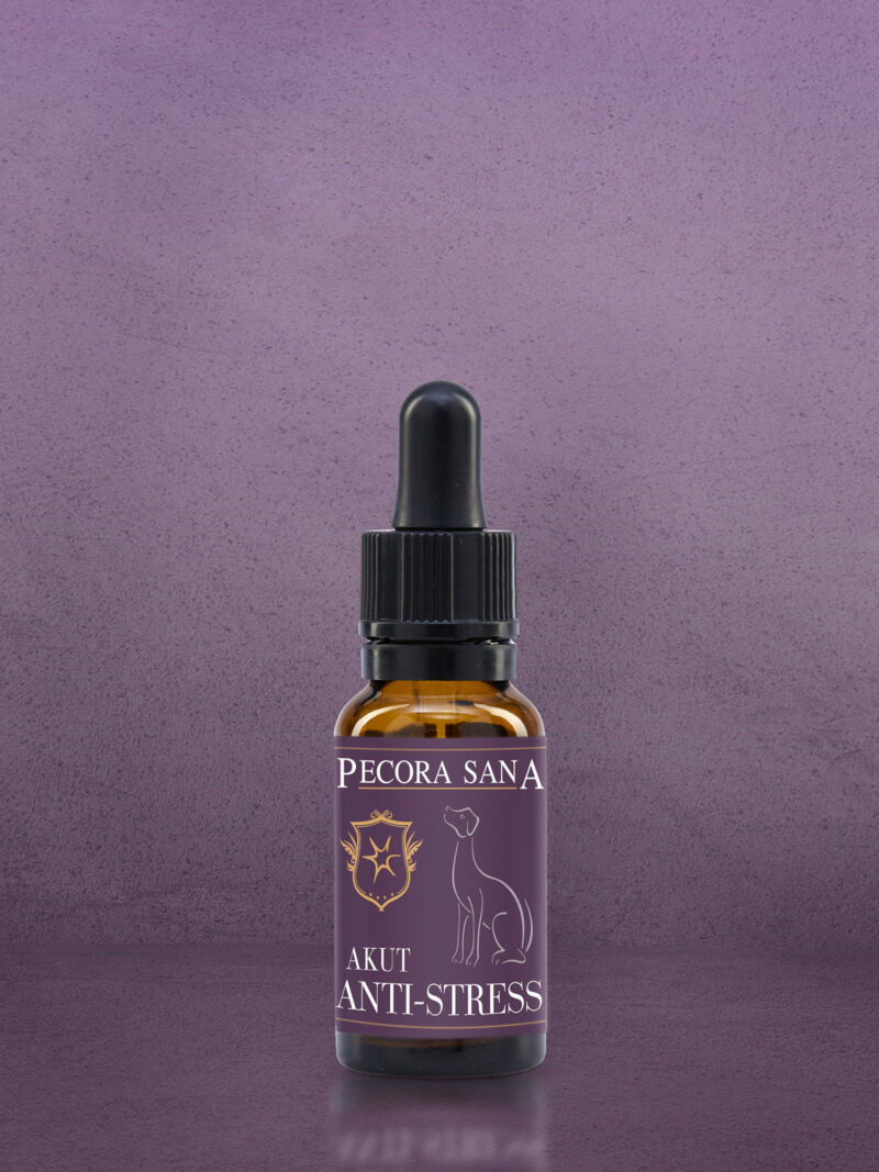 Wenn ihr Hund Stress hat Antistress Akut von Pecora Sana